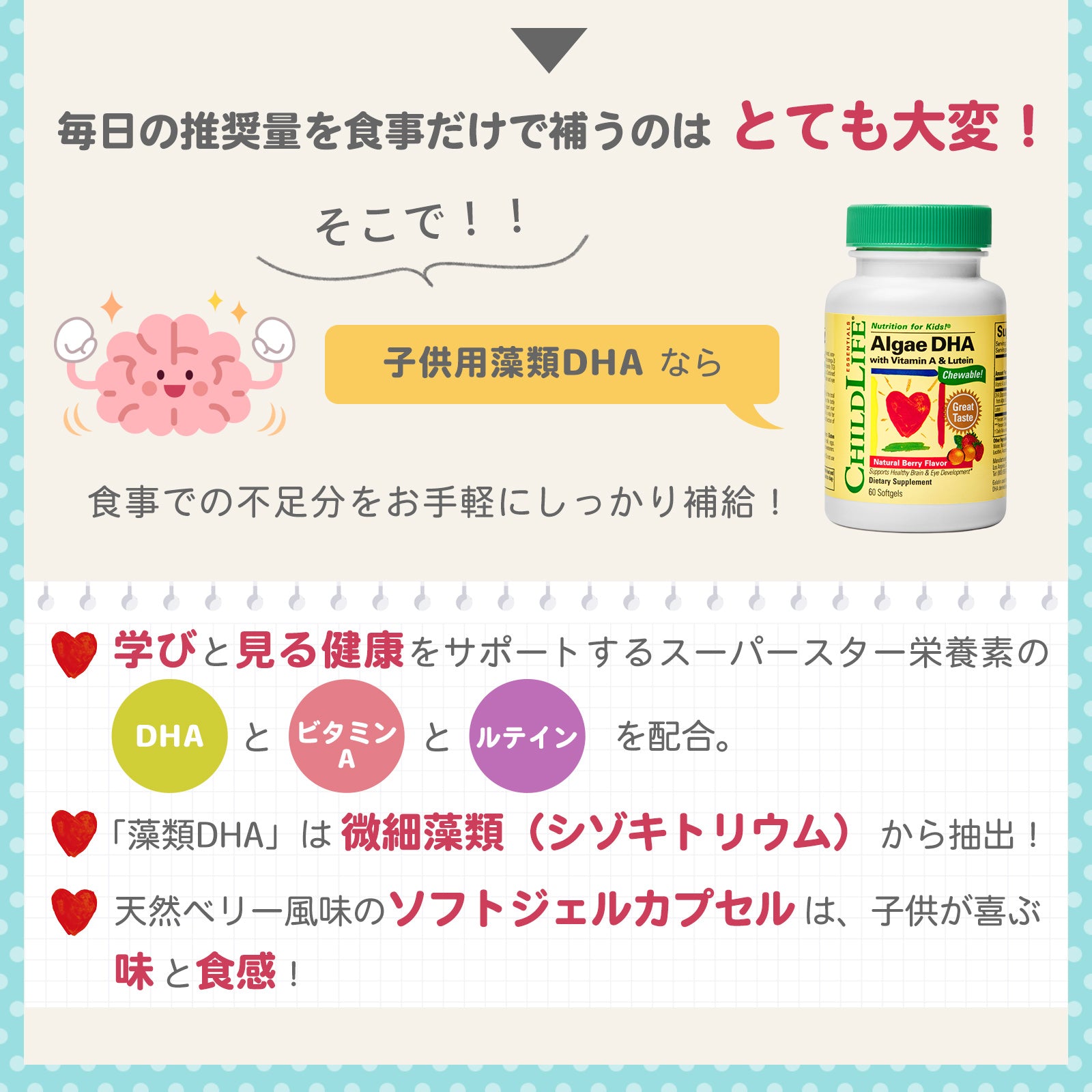 子供用藻類DHA 60ソフトジェル 2個セット【賞味期限2027年5月31日】
