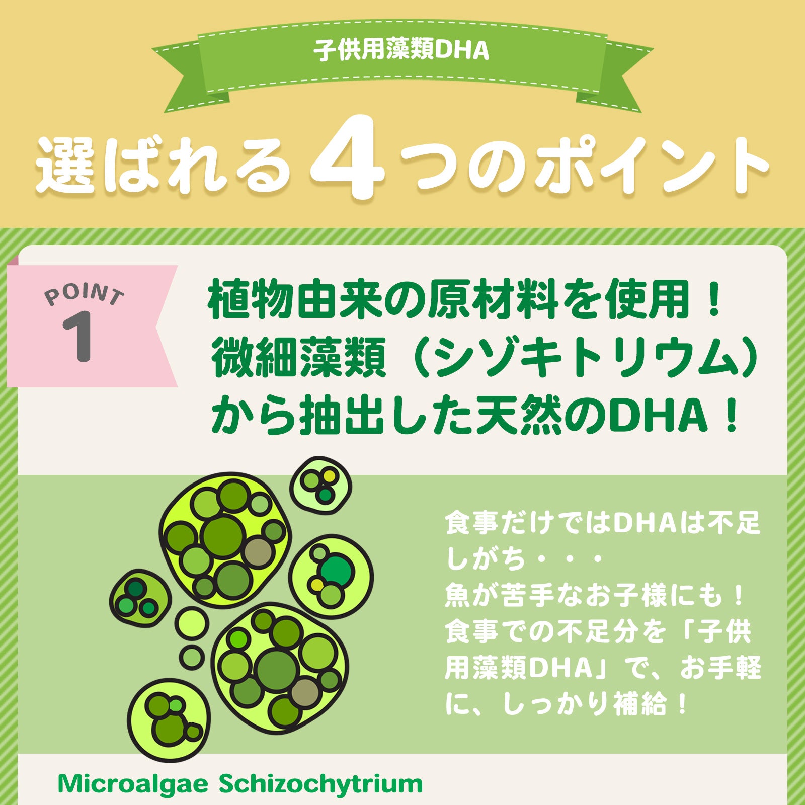 子供用藻類DHA 60ソフトジェル 2個セット【賞味期限2027年5月31日】