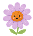 エキナセアの根・葉・花を使用
